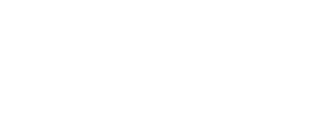 Ceylon Servers Logo